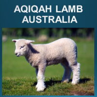 2.2 Aqiqah Lamb (Australia)