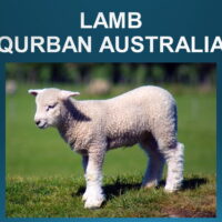 1.2 Qurban Lamb (Australia)