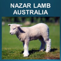 3.2 Nazar Lamb (Australia)