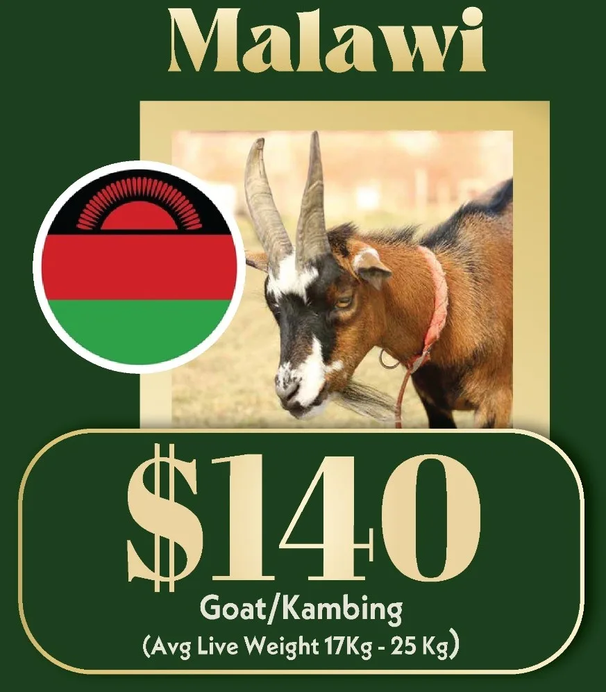 1.4 Qurban Goat (Malawi)